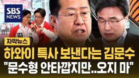 김문수가 '하와이 설득조' 보낸다고 하자…