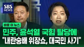 [바로이뉴스] 민주당, 윤석열 탈당에 