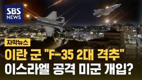 [자막뉴스] 이란 