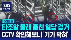 [D리포트] 타조알 몰래 훔친 일당 검거…CCTV 확인해보니 '기가 막혀'