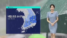 [날씨] 저녁까지 이어지는 비…내일 흐리고 소나기