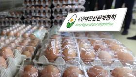 '달걀값 상승' 담합 조사…공급 확대 추진