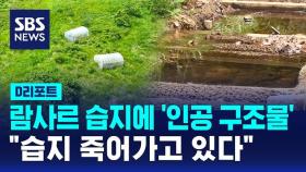 [D리포트] 람사르 습지에 '인공 구조물'…