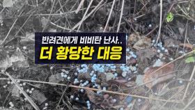 무고한 강아지들에게 비비탄 난사에 이어 협박까지? [뉴블더]