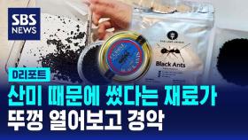 [D리포트] '산미' 올린다고 요리에 개미 쓴 식당 식약처 적발