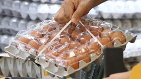 [포커스] 달걀값 반년째 고공행진…정부, 대책없이 수입만