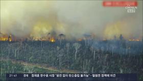 소멸 시간 빨라진 아마존…한달만에 서울 면적 2배 사라져