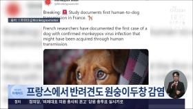 프랑스서 반려견 원숭이두창 감염 첫 확인…확진주인과 침대공유