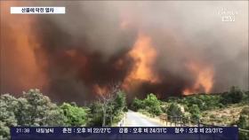 스페인 대형산불 속 멈춰선 열차…창문깨고 탈출 '아비규환'
