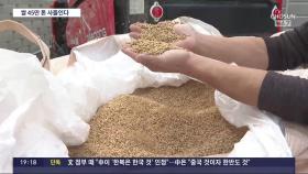 정부, 쌀 45만t 사들인다…결국 세금으로 막는 쌀값 급락
