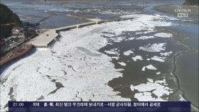냉동고 한파에 빙판으로 변한 갯벌…부산 앞바다도 '꽁꽁'