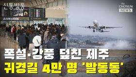 [씨박스] 폭설·강풍 덮친 제주…귀경길 4만명 '발동동'