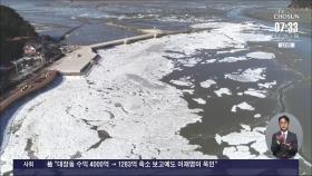 냉동고 한파에 빙판으로 변한 갯벌…부산 바닷가도 '꽁꽁'