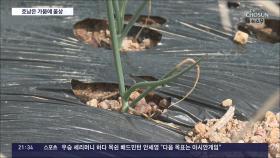 '춘분' 봄농사 준비 본격…'최악 가뭄' 호남은 모내기도 못 할 지경