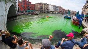 녹색으로 물든 '물의 도시' 베니스 운하…액체 성분 분석·탐문 조사