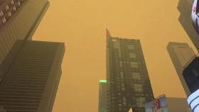 미국까지 뒤덮은 캐나다 산불 연기…뉴욕 공기가 뉴델리 수준