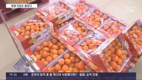 '제철과일 먹기 무섭네' 귤 14%·딸기 19% 가격 인상
