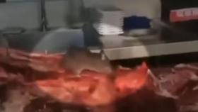훠궈 식당서 쥐가 고기 뜯어먹는 영상 공개…中 또 위생 논란