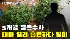 [씨박스] 5개월 잠복 수사…대마 길러 흡연하다 덜미