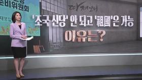 [따져보니] '조국 신당' 안 되고 '祖國'은 가능…이유는?