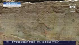 국보 147호 '각석' 대신 '암각화'로 명칭 변경…세계문화유산 도전