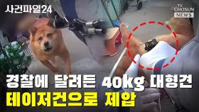 [사건파일24] 경찰에 달려든 40㎏ 대형견 테이저건으로 제압