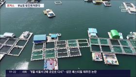 [포커스] '정주영 방조제' 손본다 …부남호 '역간척' 사업 추진