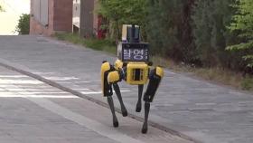 로봇개가 택배 배달…성큼 다가온 '로봇 배송' 서비스
