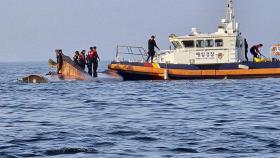 '선박 뺑소니 사고'로 어선 전복…1명 사망·2명 실종