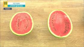 [사건파일24] 수박씨의 놀라운 효능…씨까지 먹어도 되는 과일은?