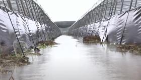 전북 군산 시간당 140㎜ 폭우…곳곳 홍수·산사태 경보