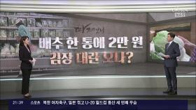 [따져보니] 배추 한 통에 2만원…'김장 대란' 오나