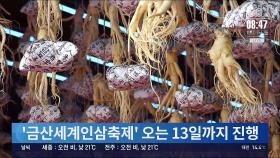 '아빠, 힘내세요'…금산세계인삼축제 13일까지 진행