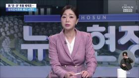 野, 탄핵안 내려다 급히 보류…속내는?