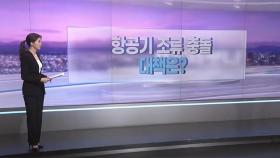 [따져보니] 항공기 조류 충돌…대책은?