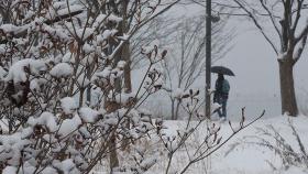 '소한' 추위 대신 많은 눈…수도권·강원도 한때 '대설특보'