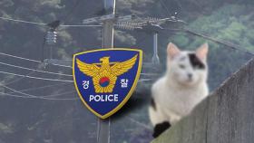 '포상금 걸린 까치 물어갈까'…고양이 총으로 쏴 죽인 엽사