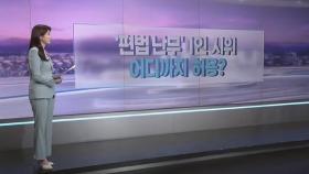 [따져보니] '편법 난무' 1인 시위…어디까지 허용?