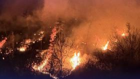 사흘간 산불 48건 '동시다발' 발생…4명 사망·산림 6000㏊ 피해