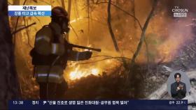 '남고북저' 기압배치…건조·강풍이 산불 키워