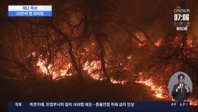강풍 타고 경북 북부 덮친 화마… 주민 10여만 명 대피령