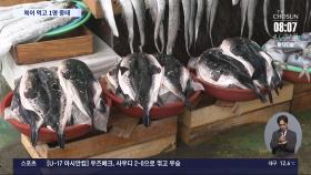 여수 섬마을서 복어 먹은 관광객 3명 마비증세…1명 위중