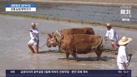 '소 겨리' 아시나요?…산골 전통 농법 계승