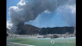 뉴질랜드, 관광객들 화산분화 참변에 범죄수사 착수