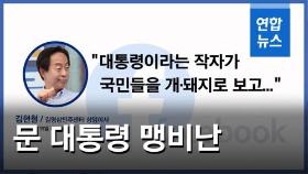 [영상] YS 차남 김현철, 문 대통령 비난…