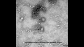 일본 크루즈선 기항지 오키나와에서 코로나19 감염자 첫 확인