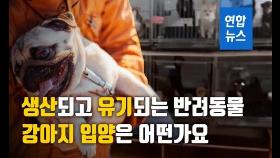 [뉴스피처] '생산'되고 '유기'되는 반려동물…입양은 어떤가요