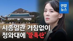 [영상] 북한 김여정, 거친 담화로 청와대 비난…