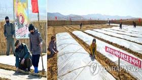 북한, 코로나 와중에도 농사 채비 분주…각지 씨뿌리기 본격