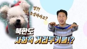 [연통TV] 코로나19에 북한도 '사회적 거리두기'…